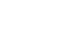 coreonyx white logo